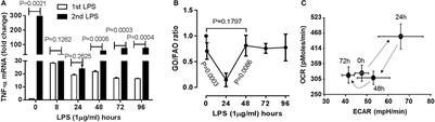 Mitochondrial Sirtuin 4 Resolves Immune Tolerance in Monocytes by Rebalancing Glycolysis and Glucose Oxidation Homeostasis